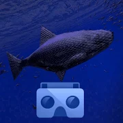 Be a Fish — VR Simulator