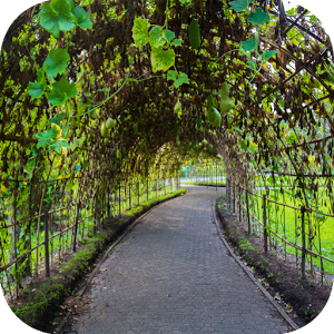 Escape Games — Garden