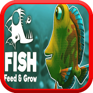 Feed Fish And Grow