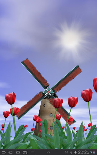 Живые обои "Tulip Windmill" на Андроид