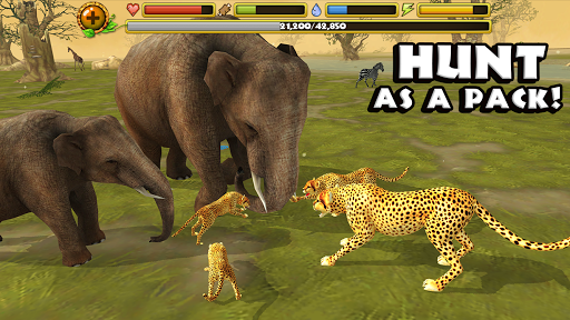 Cheetah Simulator на Андроид