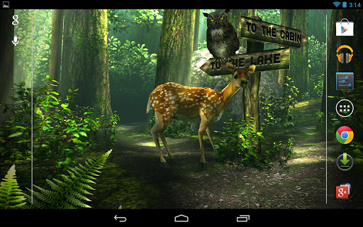Живые обои "Forest HD" на Андроид