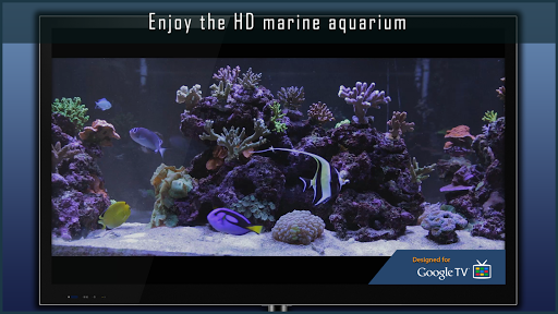 Marine Aquarium скачать на Андроид