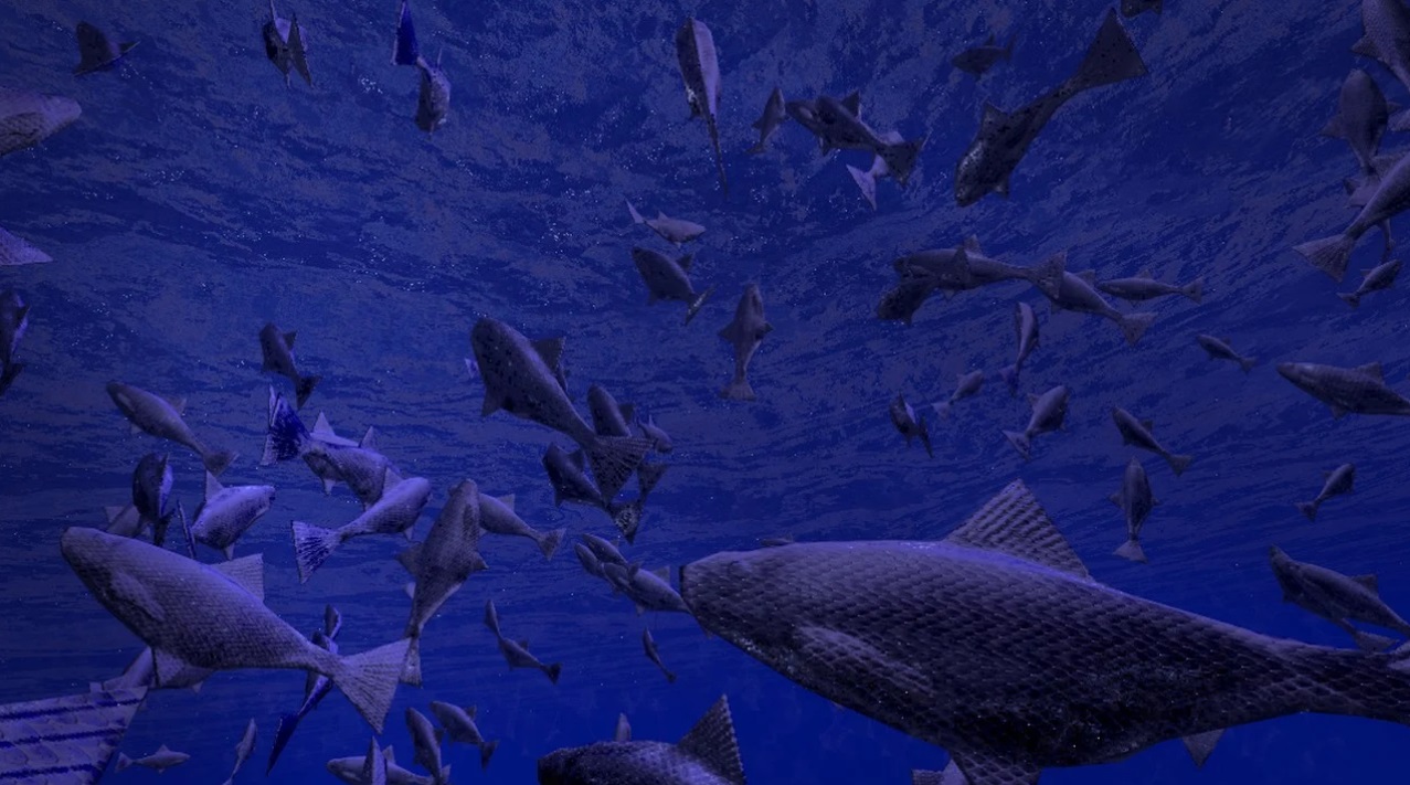 Be a Fish - VR Simulator на Андроид