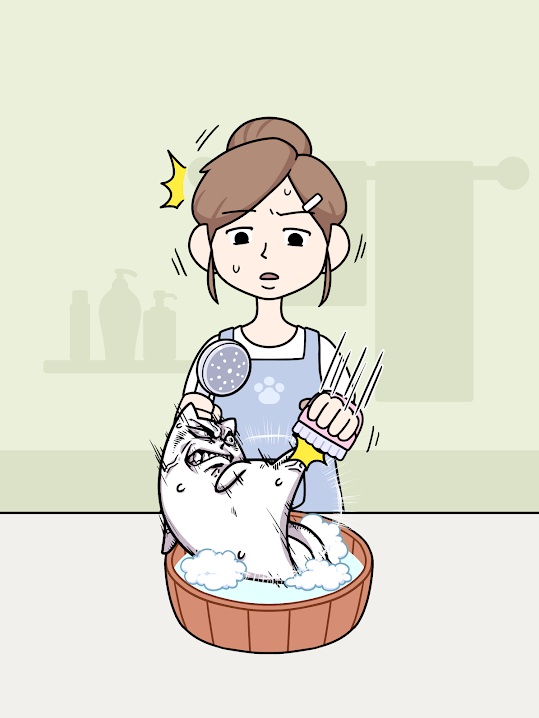 Cat No Wash! на Андроид