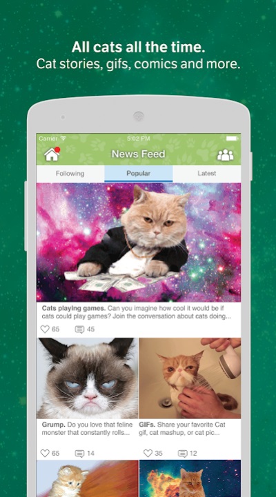 Cats Amino на Андроид