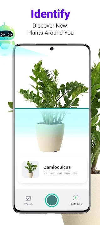 Lily - Plant Identification на Андроид