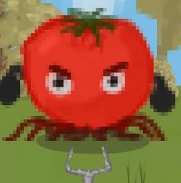 My tomatoes!